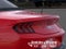 2026 Ford Mustang EcoBoost Premium IN-TRANSIT
