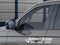 2026 Ford Expedition Tremor IN-TRANSIT