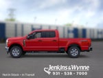2026 Ford F-250SD XLT IN-TRANSIT