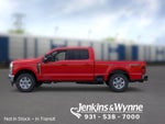 2026 Ford F-250SD XLT IN-TRANSIT