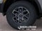 2026 Ford Ranger XLT IN-TRANSIT