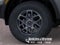 2026 Ford Ranger XLT IN-TRANSIT
