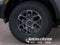 2026 Ford Ranger XLT IN-TRANSIT