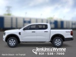 2026 Ford Ranger XL IN-TRANSIT
