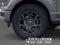 2026 Ford F-150 STX IN-TRANSIT