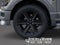 2026 Ford F-150 STX IN-TRANSIT