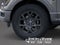 2026 Ford F-150 STX IN-TRANSIT