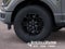 2026 Ford F-150 STX IN-TRANSIT