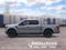2026 Ford F-150 XLT IN-TRANSIT