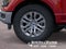 2026 Ford F-150 XLT IN-TRANSIT