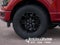 2026 Ford F-150 XLT IN-TRANSIT