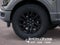 2026 Ford F-150 XLT IN-TRANSIT