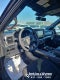 2026 Ford F-150 XLT IN-TRANSIT